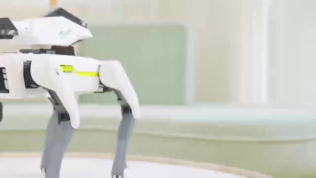 FACEGLE Smart Robotic Dog with AI Voice Control & App, 18 Modes (Kung Fu/Dance/Swimming), Wireless/ Compatible, USB, Voice Commands via Alexa-like System, Companion Robot Toy & s